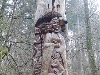 Sortie Phalsbourg CV Wingen 28 02 2016 (31)